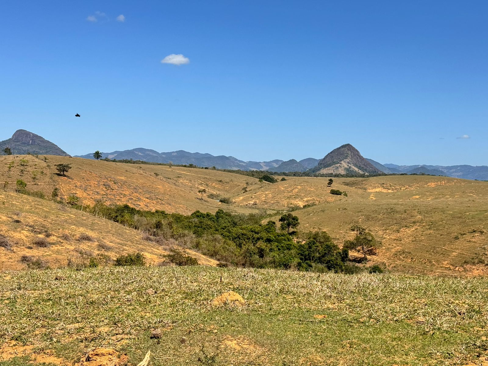 Fazenda em Xuri com 22 Alqueires