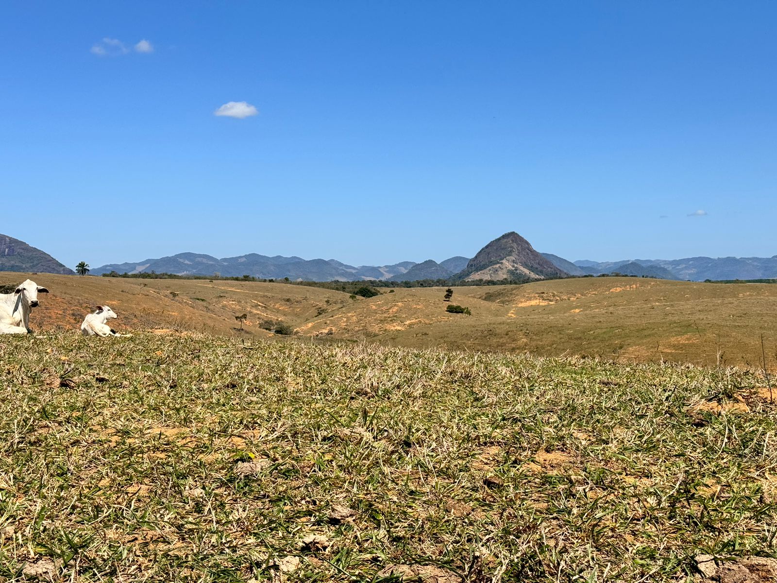 Fazenda em Xuri com 22 Alqueires