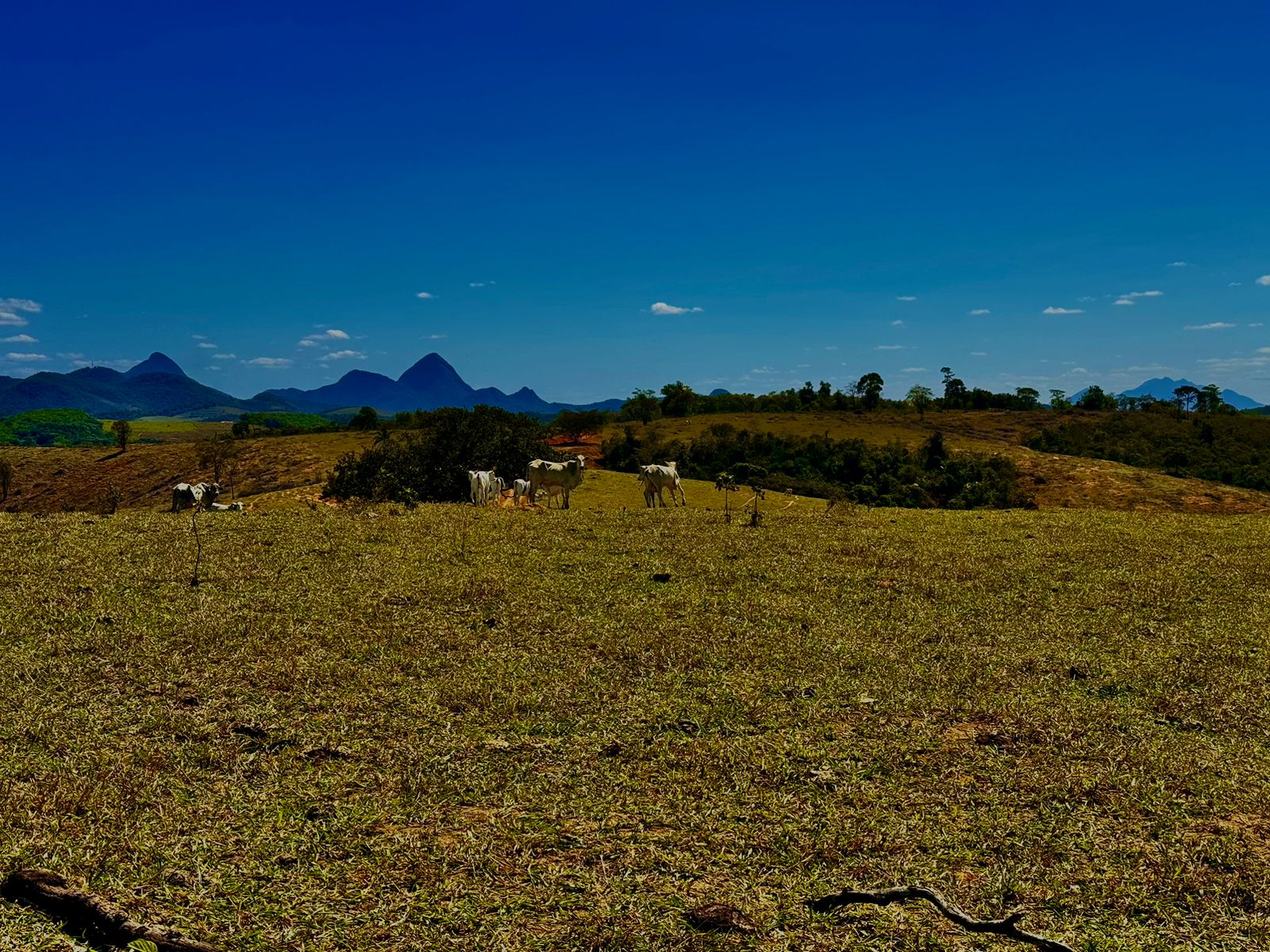 Fazenda em Xuri com 22 Alqueires