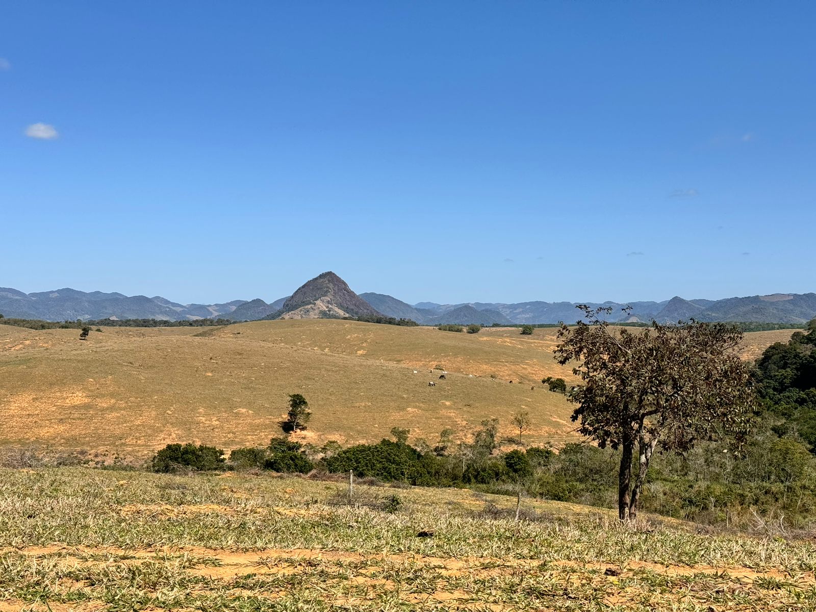 Fazenda em Xuri com 22 Alqueires