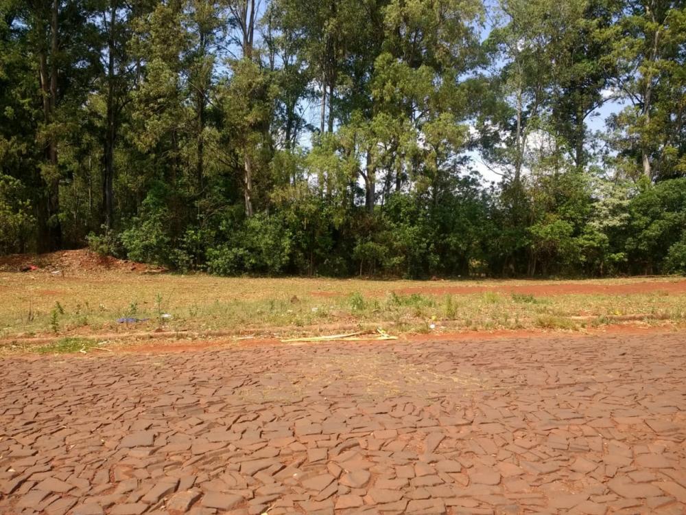 Terreno - Venda, , 