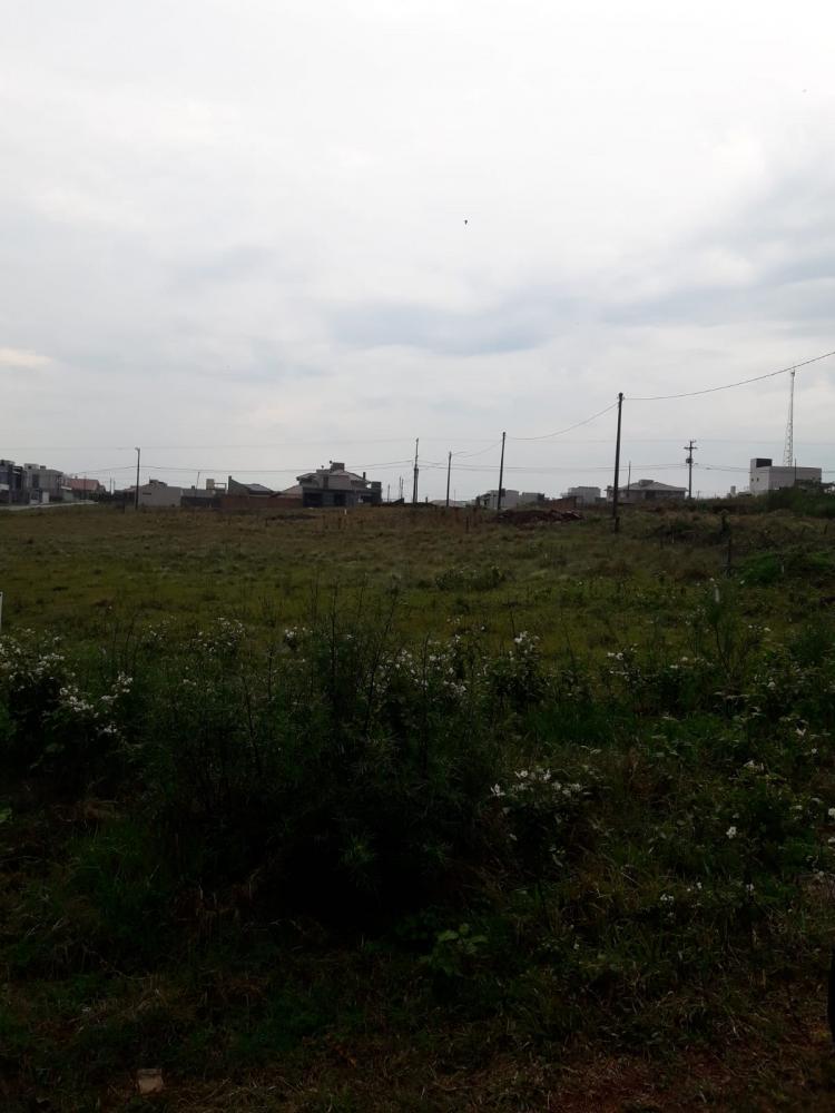 Terreno - Venda, , 