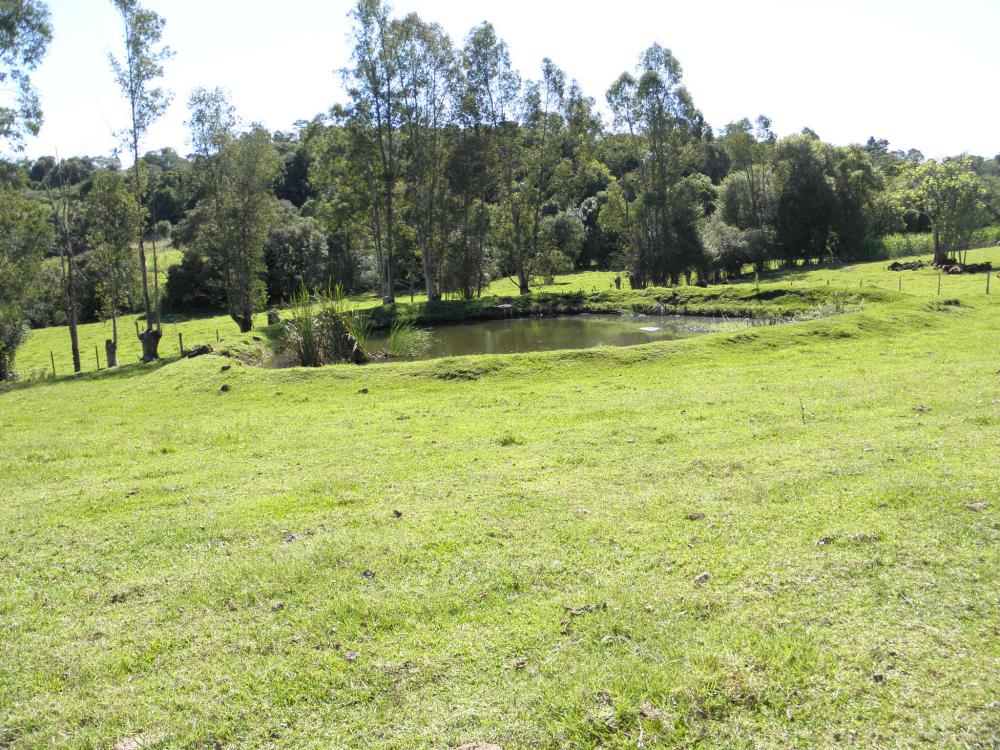 Chácara - Venda, , 