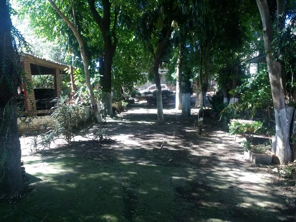 Casa - Venda, , 