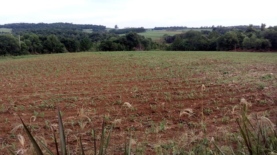 Chácara - Venda, , 