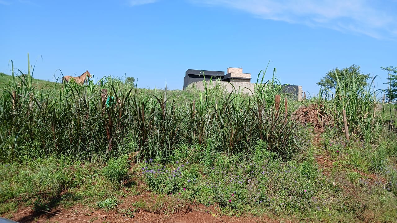 Terreno - Venda, Barra do São João, Santo Ângelo, RS