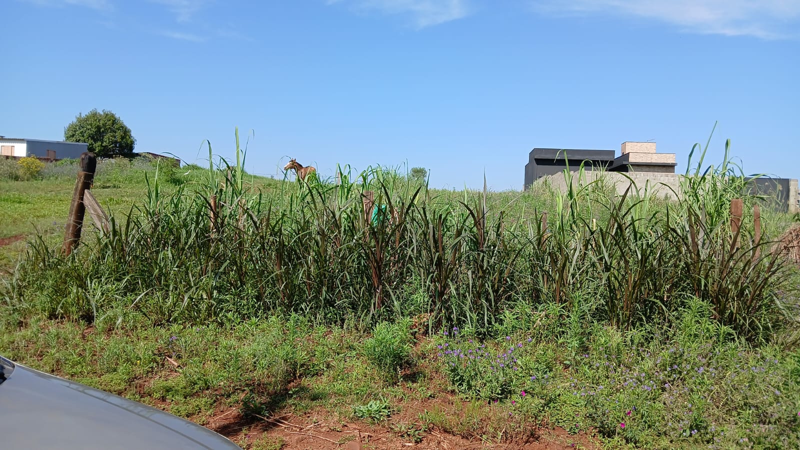 Te1441 - Terreno de 790 m2, na Barra do São João.