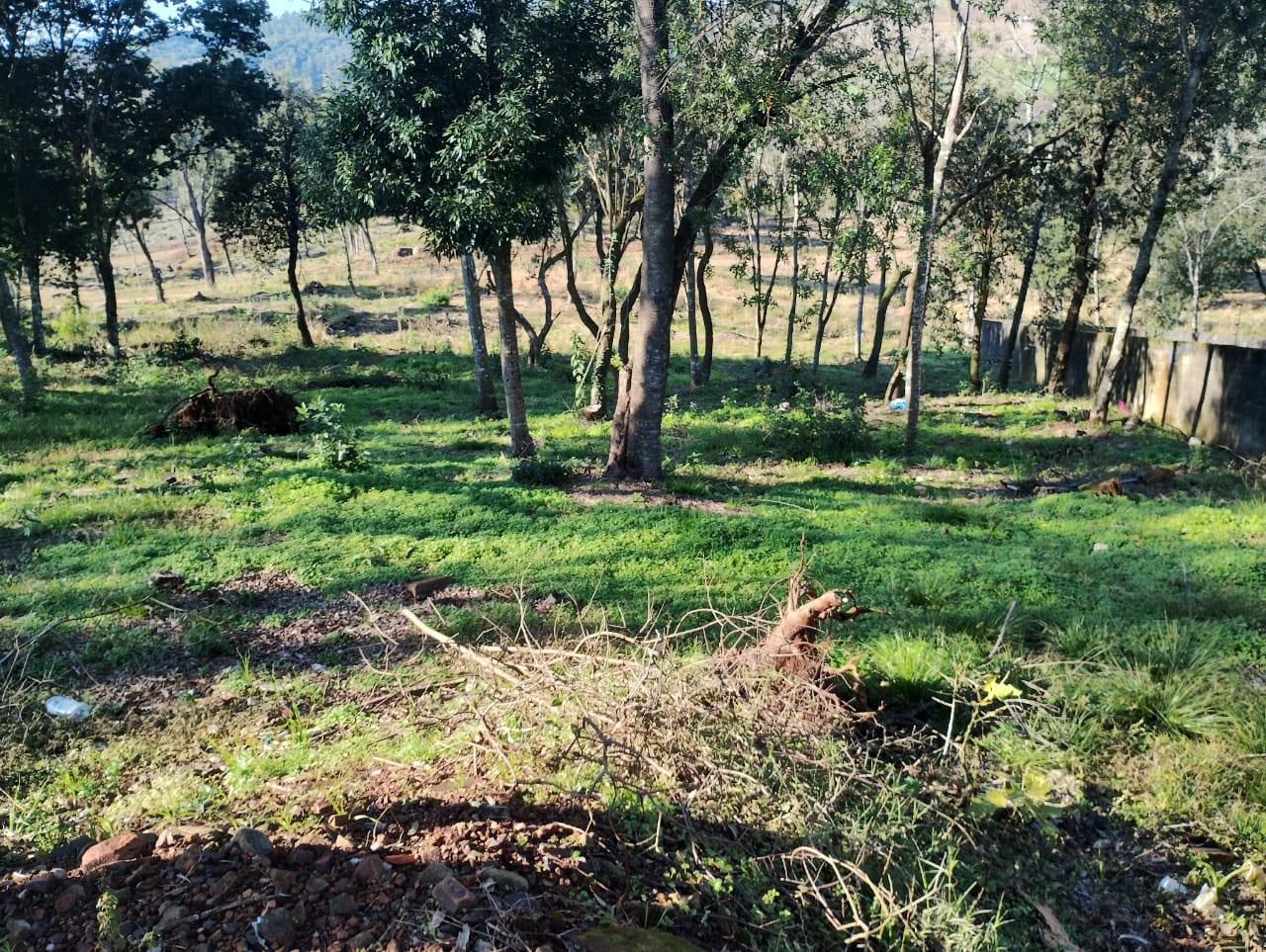 Terreno - Venda, Santo Ângelo, RS