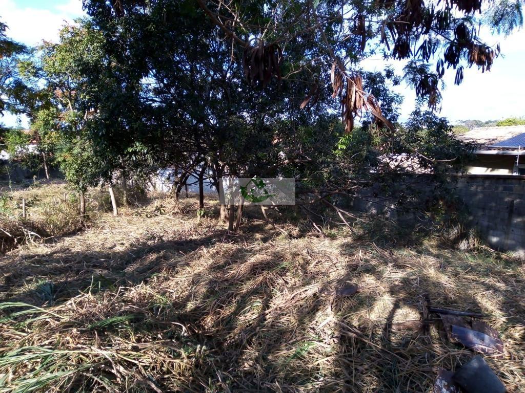 Lote - Venda, Jardim Ipê, Lagoa Santa, MG