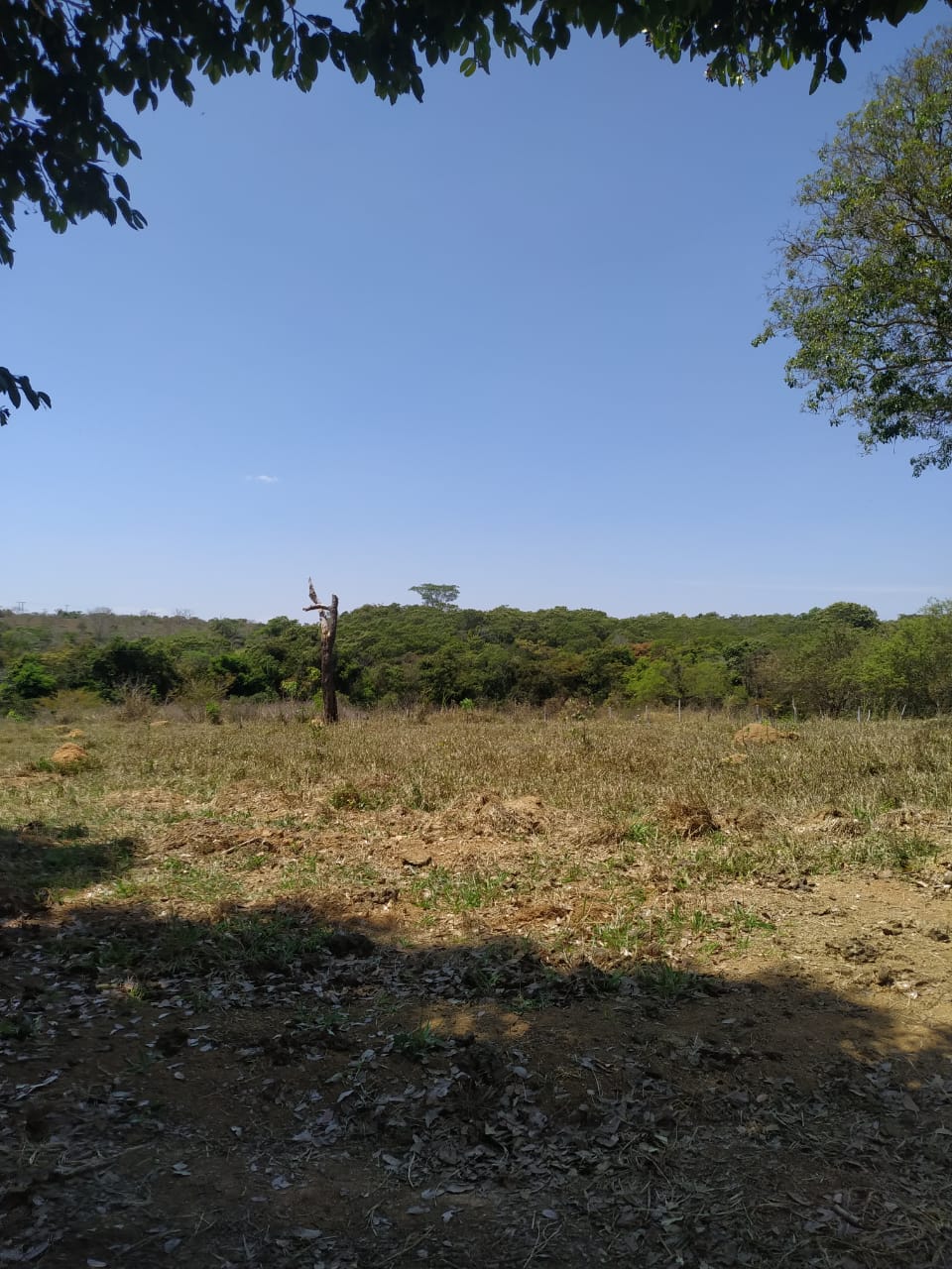 Terreno - Venda, São José de Almeida, Jaboticatubas, MG