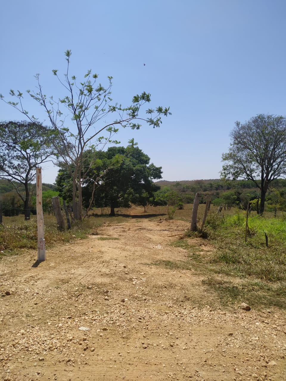 Terrenos tipo Fazendinhas a partir de 20.000 m2.