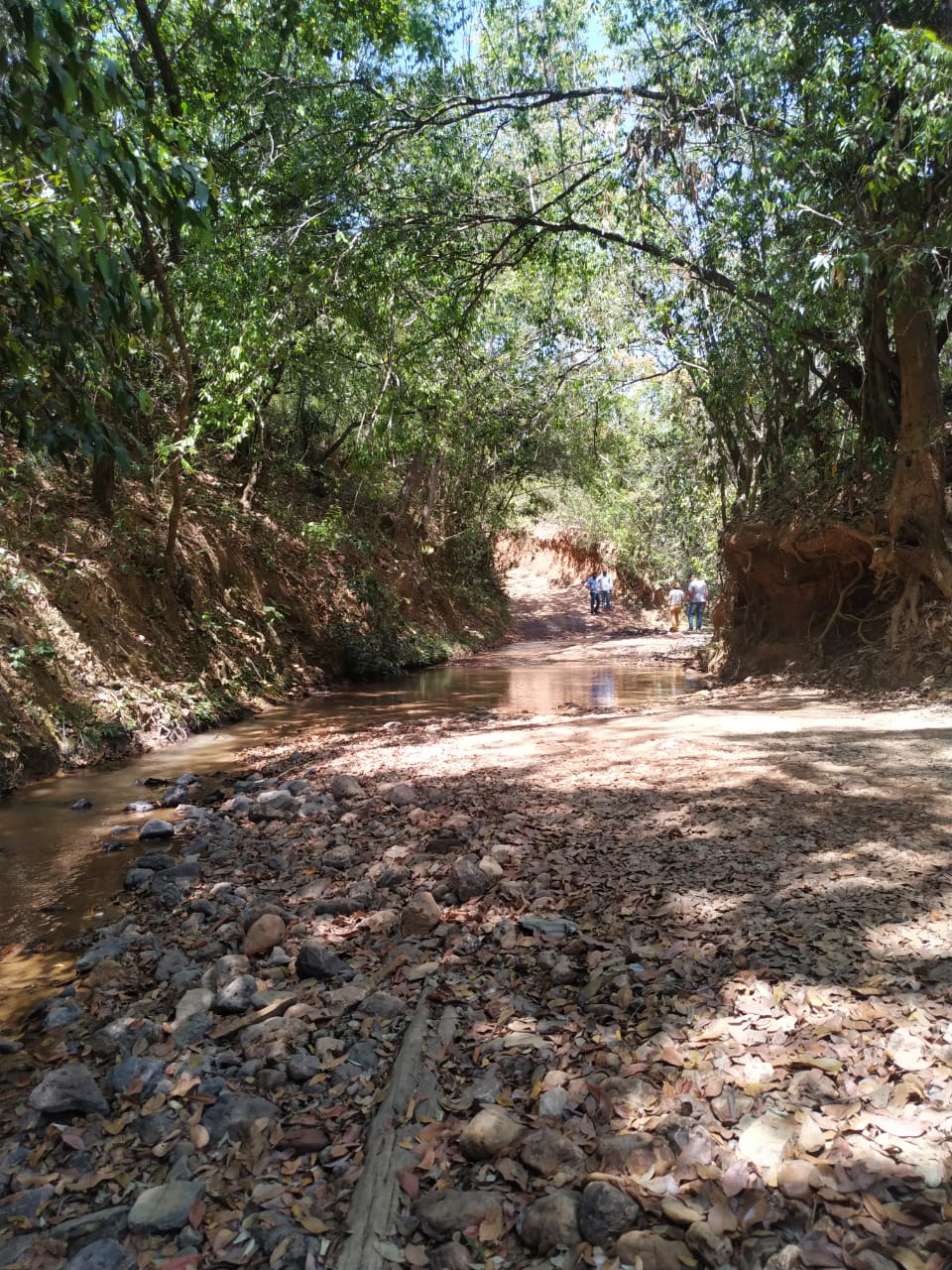 Terrenos tipo Fazendinhas a partir de 20.000 m2.