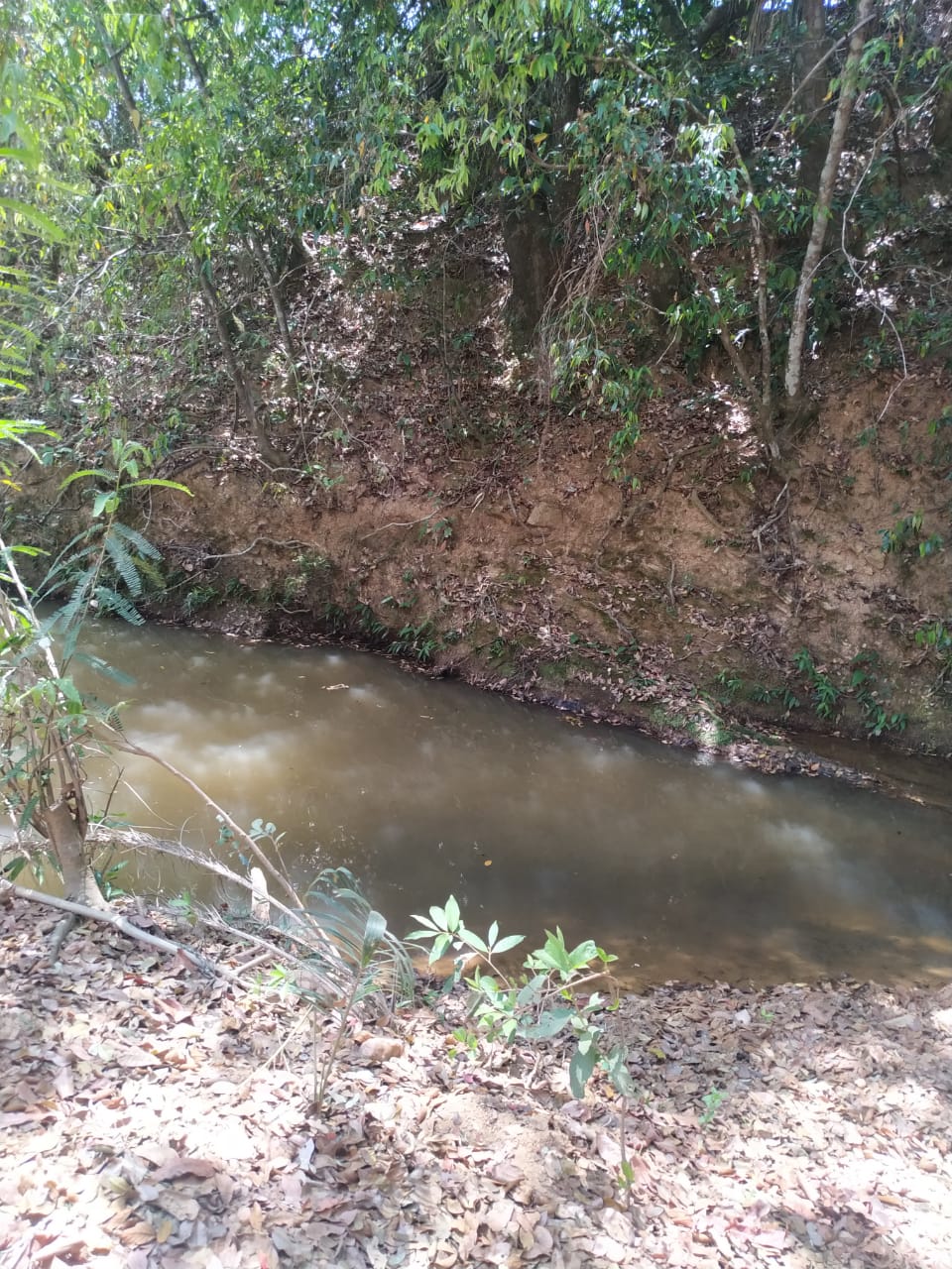 Terrenos tipo Fazendinhas a partir de 20.000 m2.