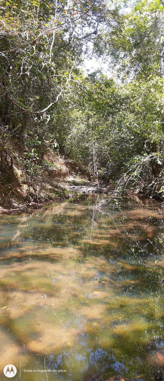 Terrenos tipo Fazendinhas a partir de 20.000 m2.