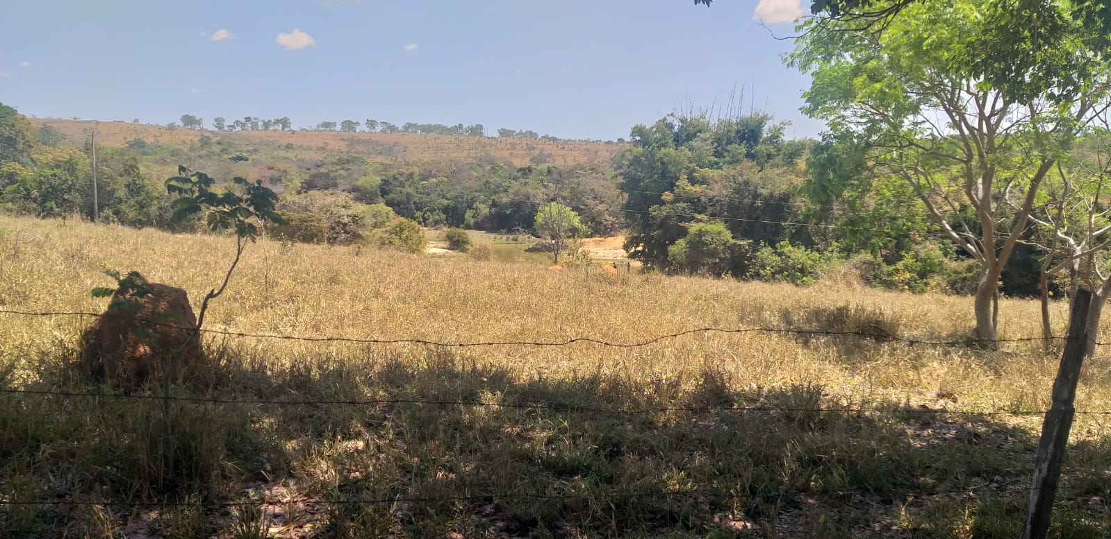 Terrenos tipo Fazendinhas a partir de 20.000 m2.