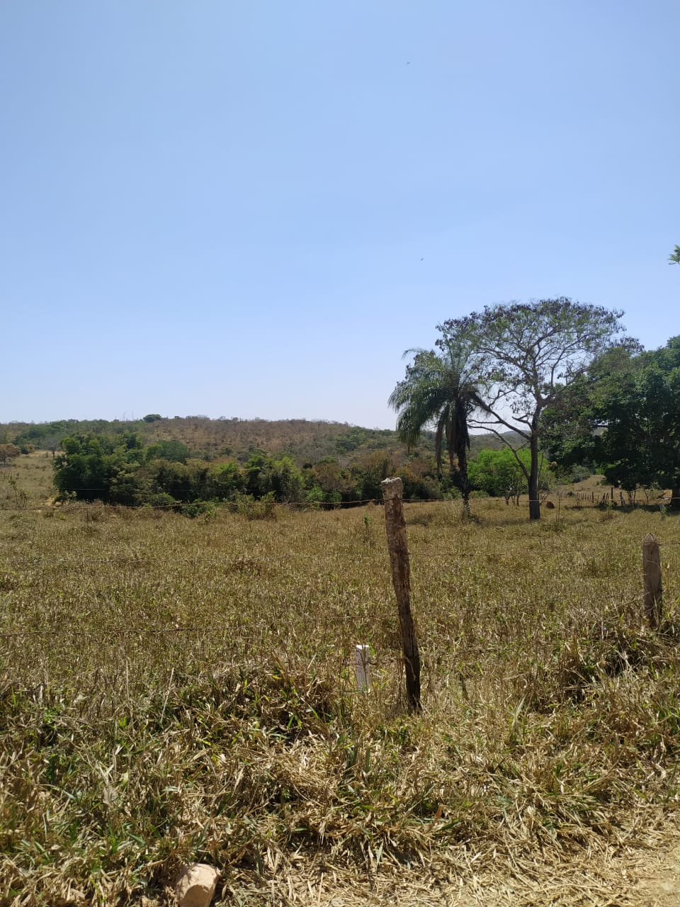 Terrenos tipo Fazendinhas a partir de 20.000 m2.