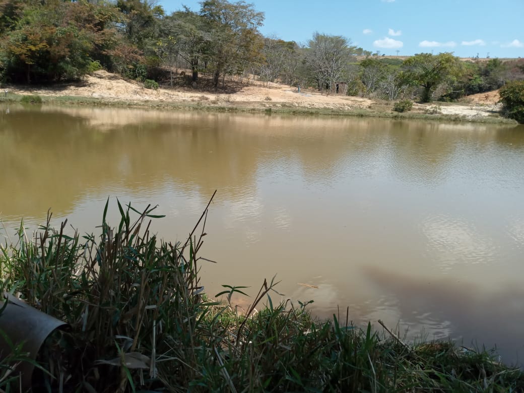 Terrenos tipo Fazendinhas a partir de 20.000 m2.