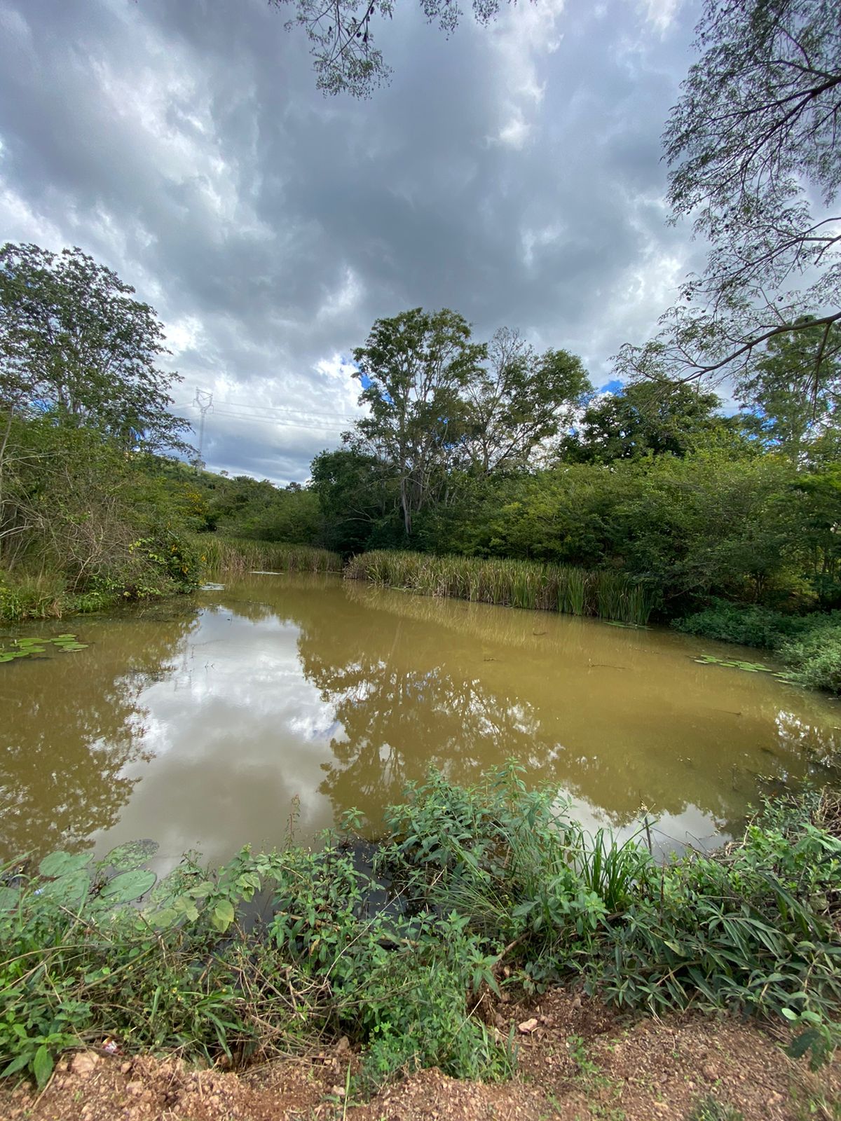 Terrenos tipo Fazendinhas a partir de 20.000 m2.