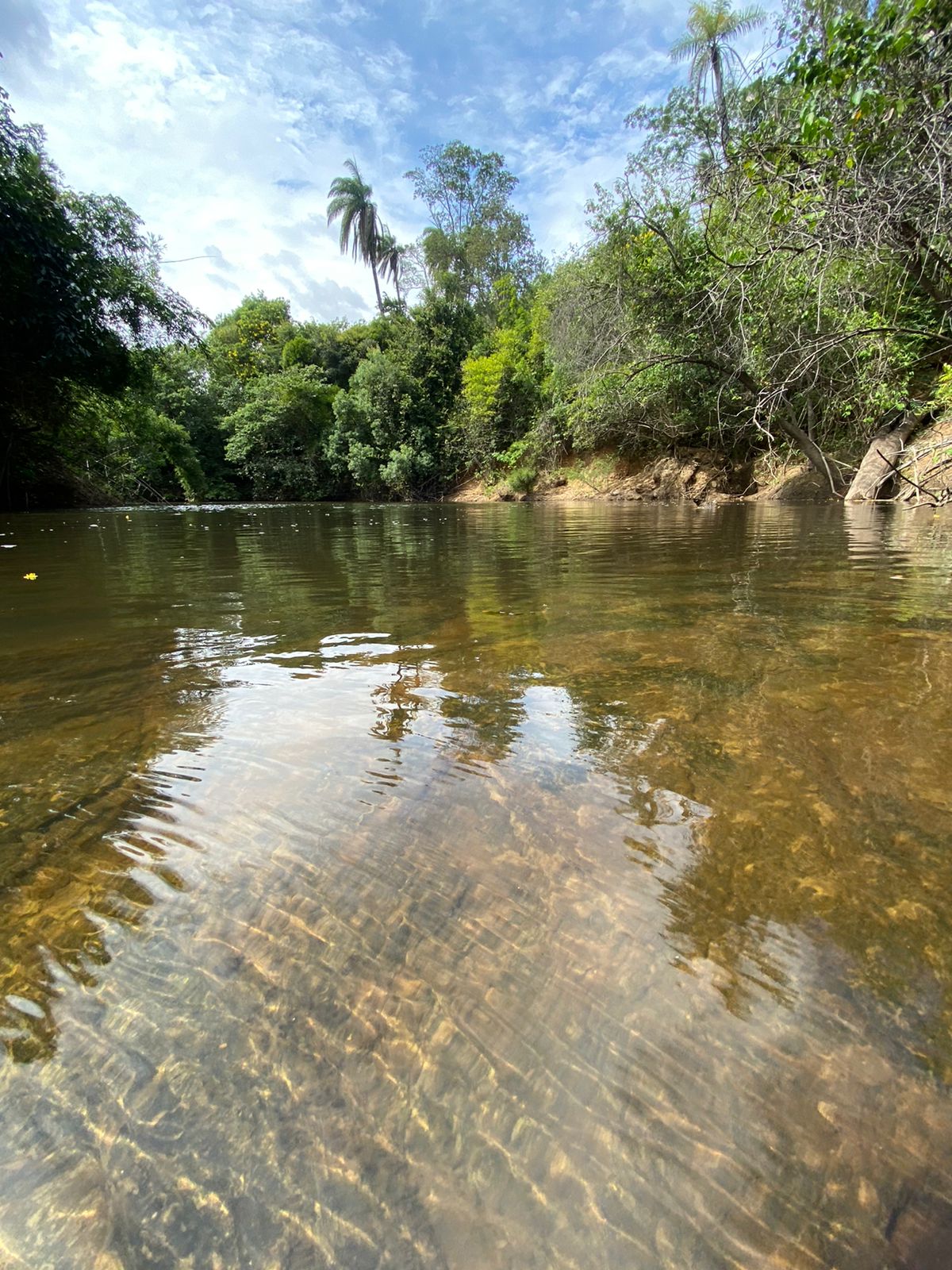 Terrenos tipo Fazendinhas a partir de 20.000 m2.