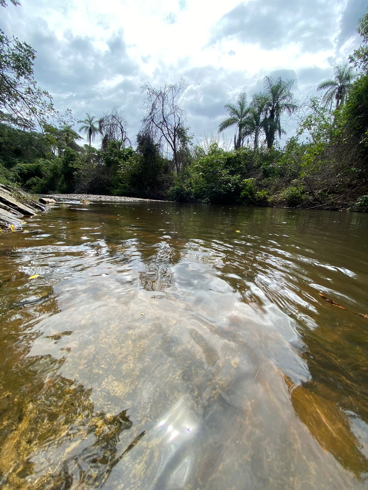 Terrenos tipo Fazendinhas a partir de 20.000 m2.
