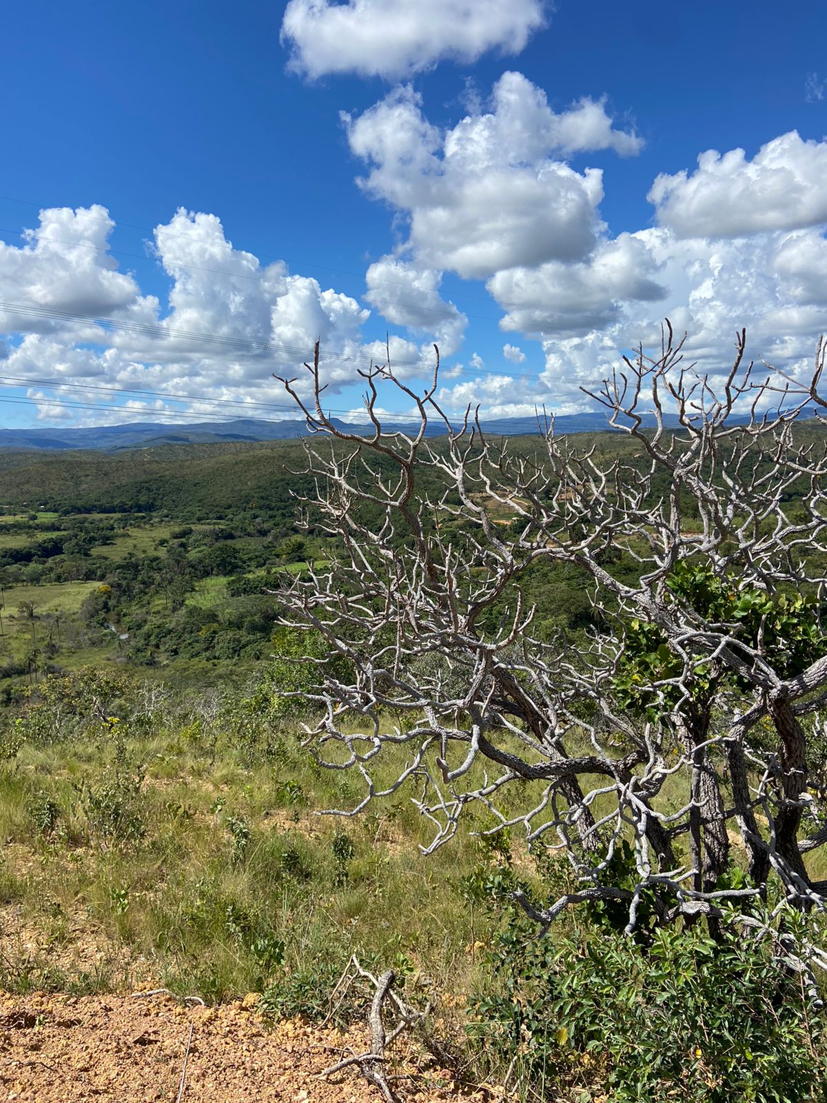 Terrenos tipo Fazendinhas a partir de 20.000 m2.