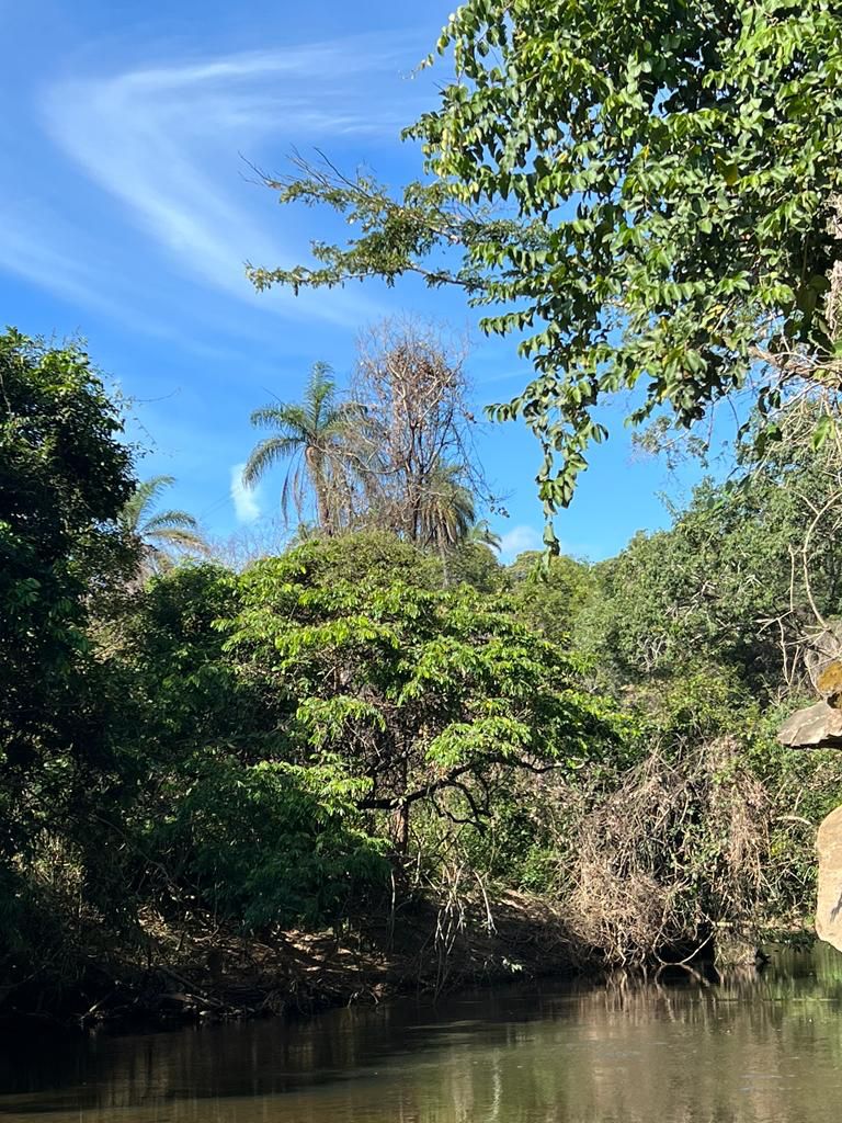 Terrenos tipo Fazendinhas a partir de 20.000 m2.