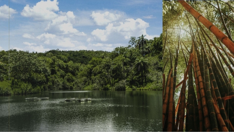 Fazenda - Venda, Lagoa Mansões, Lagoa Santa, MG