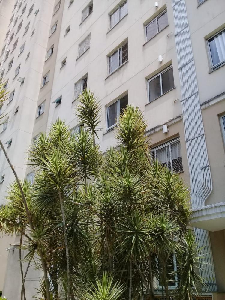 Apartamento - Venda, Vila Venditti, Guarulhos, SP