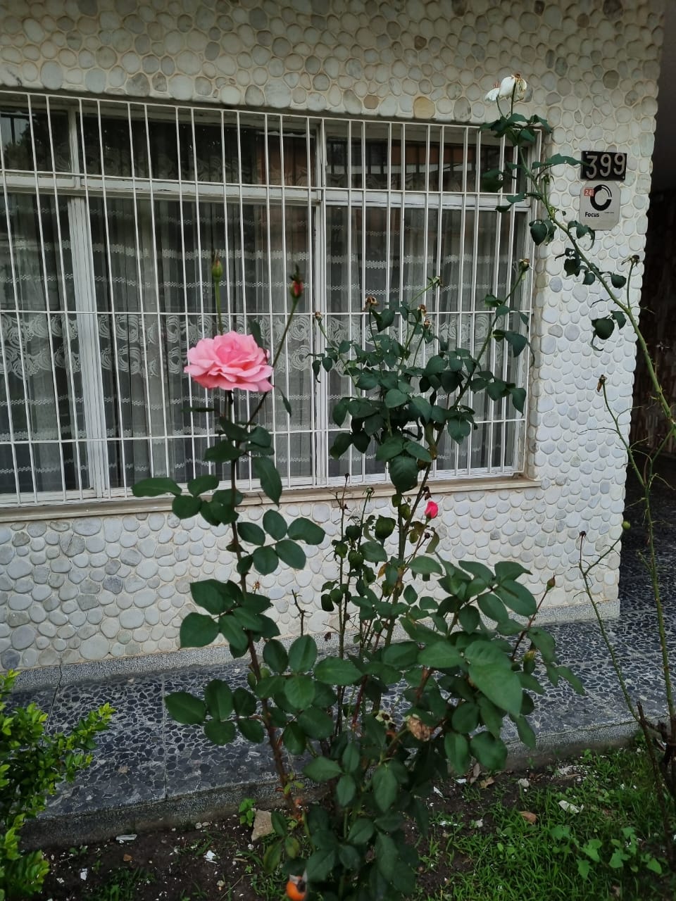 Sobrado a Venda no Bairro de Casa Verde