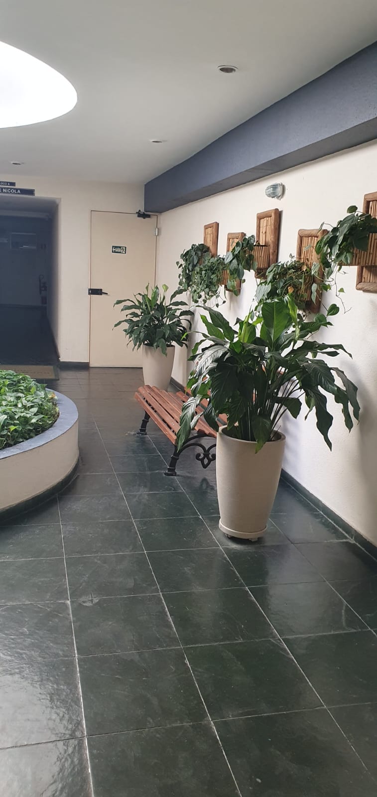 Excelente apartamento em ótima localização no bairro do Limão