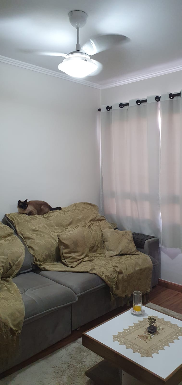Excelente apartamento em ótima localização no bairro do Limão