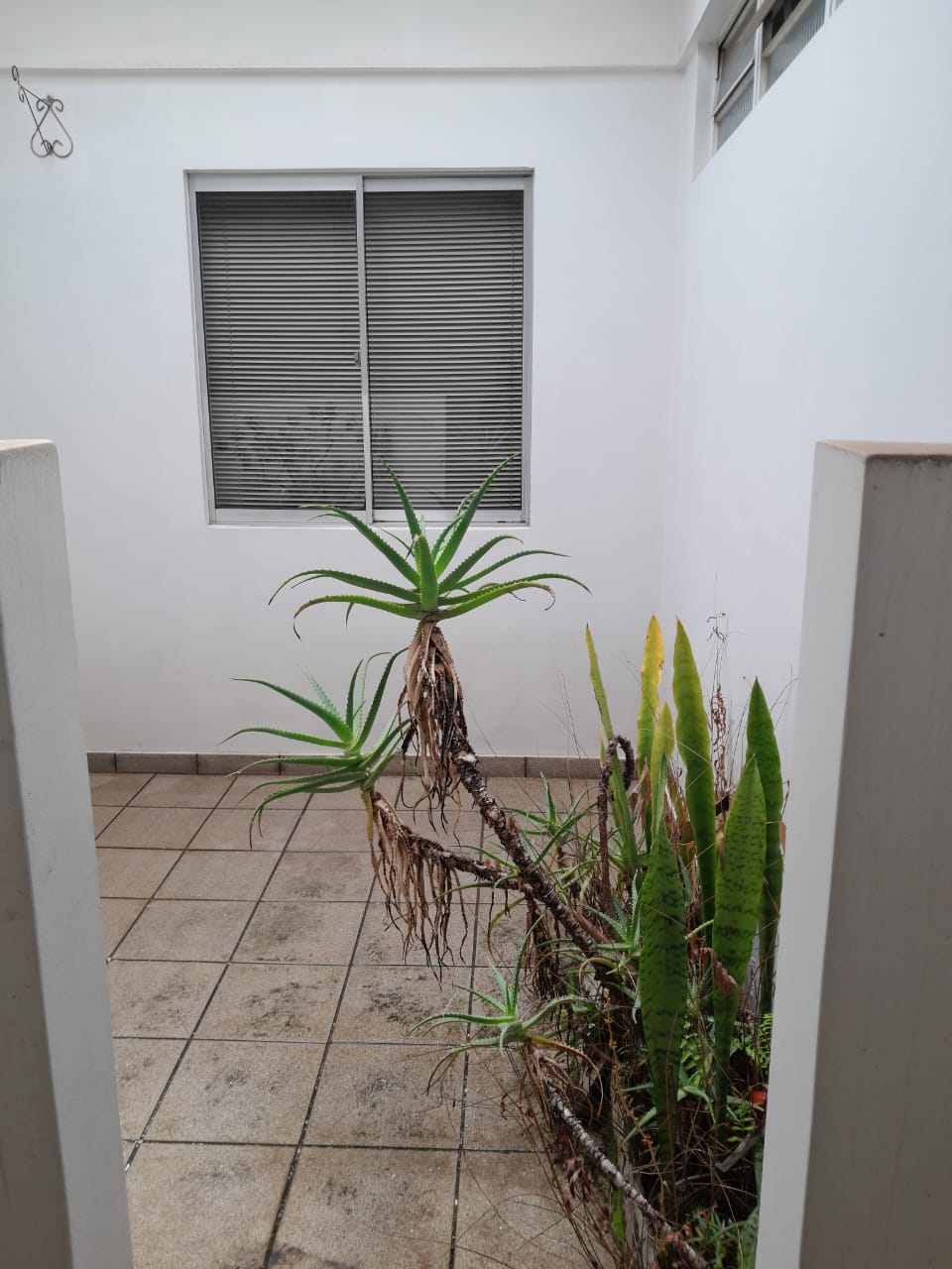 Prédio Comercial a Venda no Bairro - Jardim São Bento - Excelente Localização