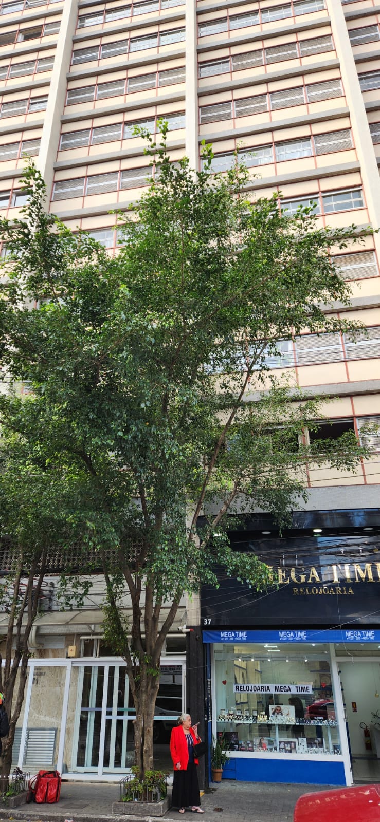 Apartamento - Locação, Paraíso, São Paulo, SP