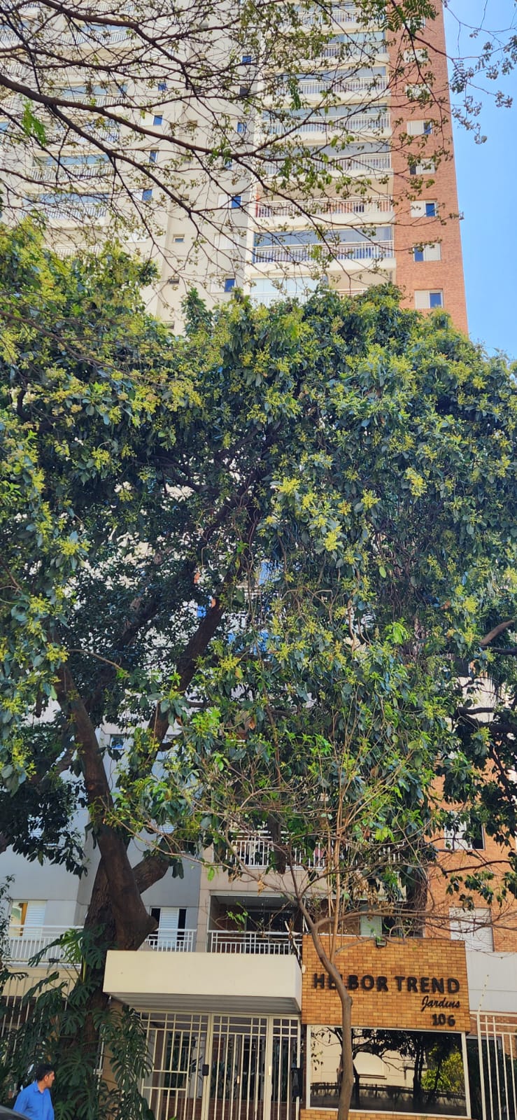 Excelente apartamento em ótima localização