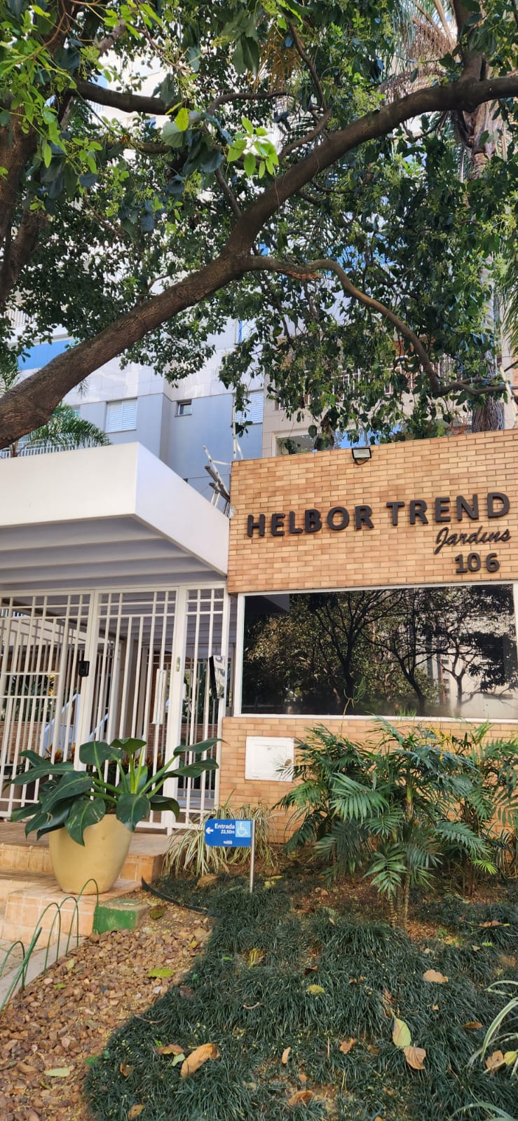 Apartamento - Locação, Consolação, São Paulo, SP