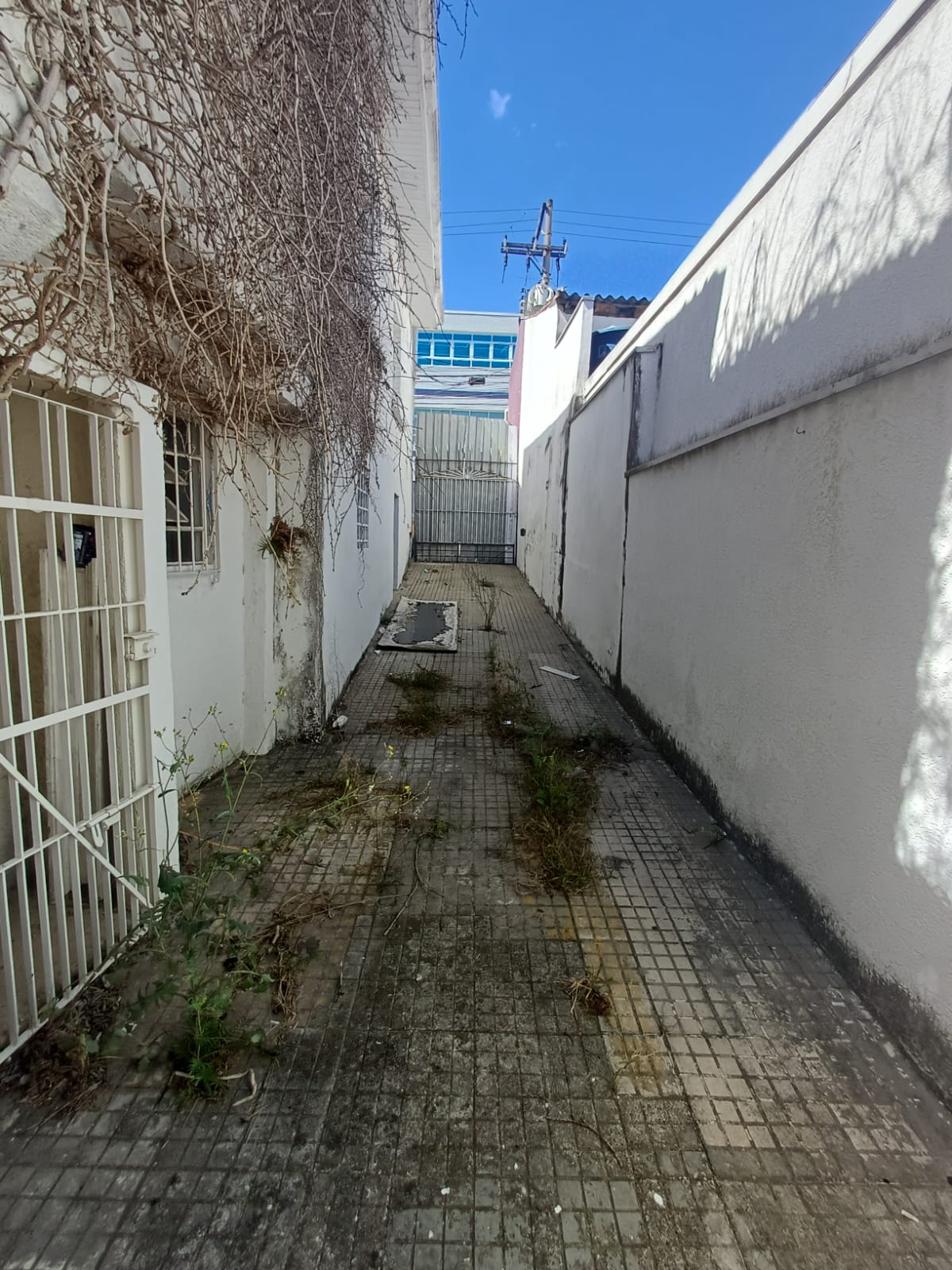 Terreno no Bairro da Casa Verde com 250m