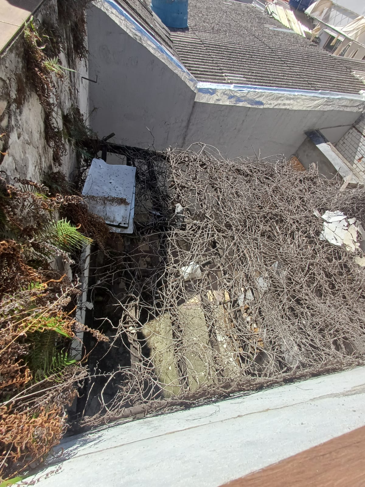 Terreno no Bairro da Casa Verde com 250m