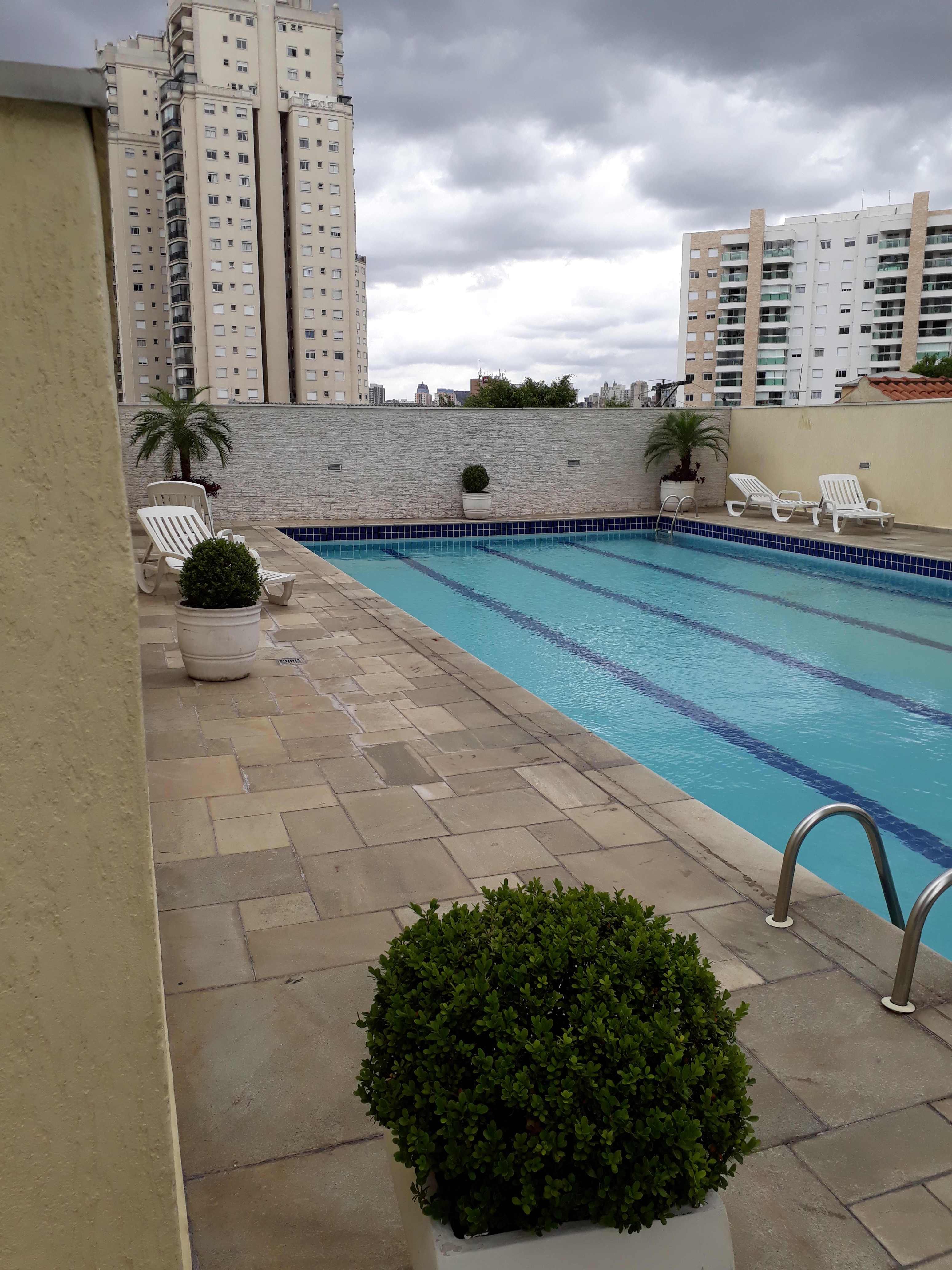 Apartamento - Venda, Casa Verde, São Paulo, SP