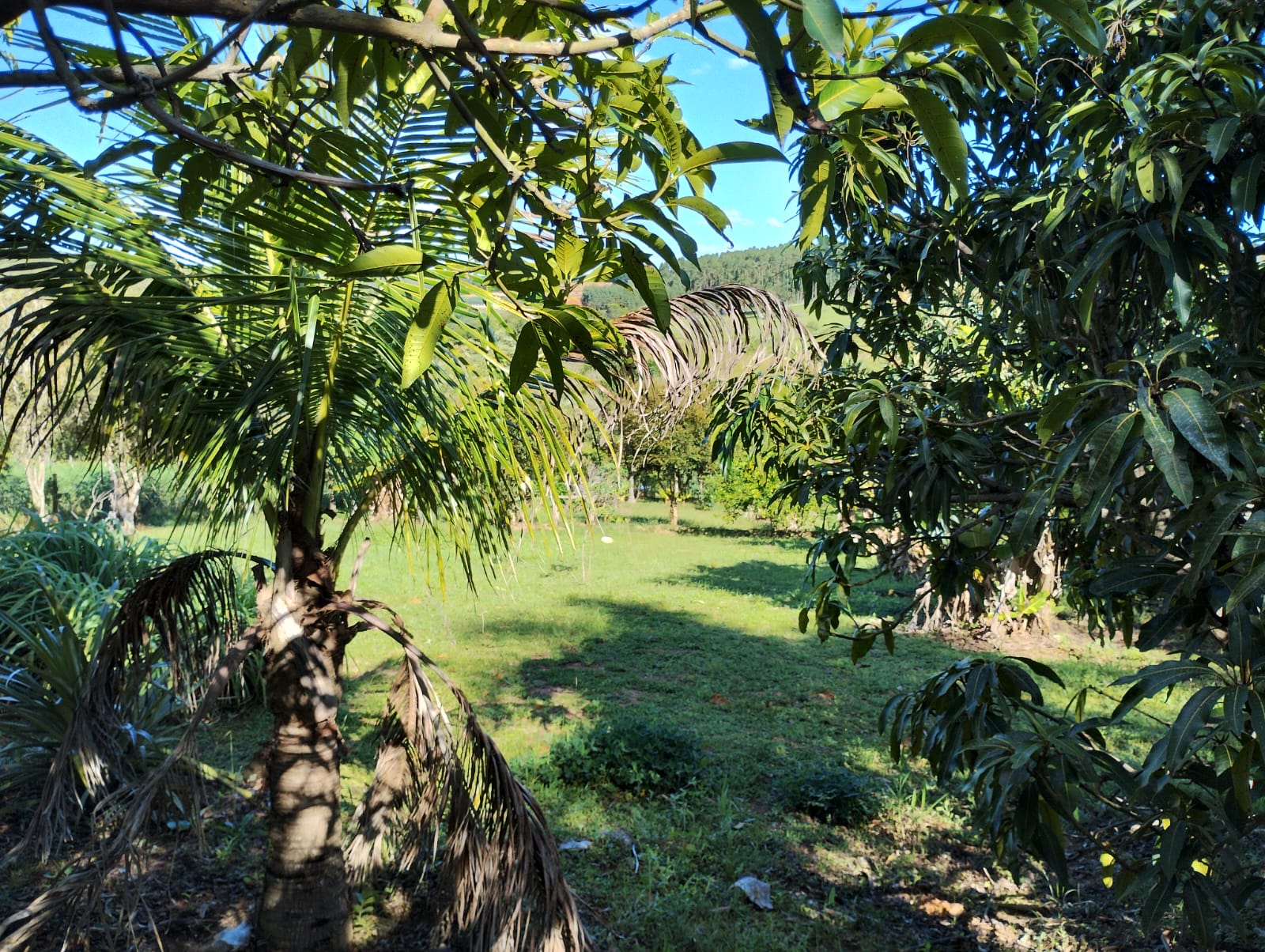 TERRENO EM BAIRRO DO PORTO (CAPELA DO ALTO) - VENDA