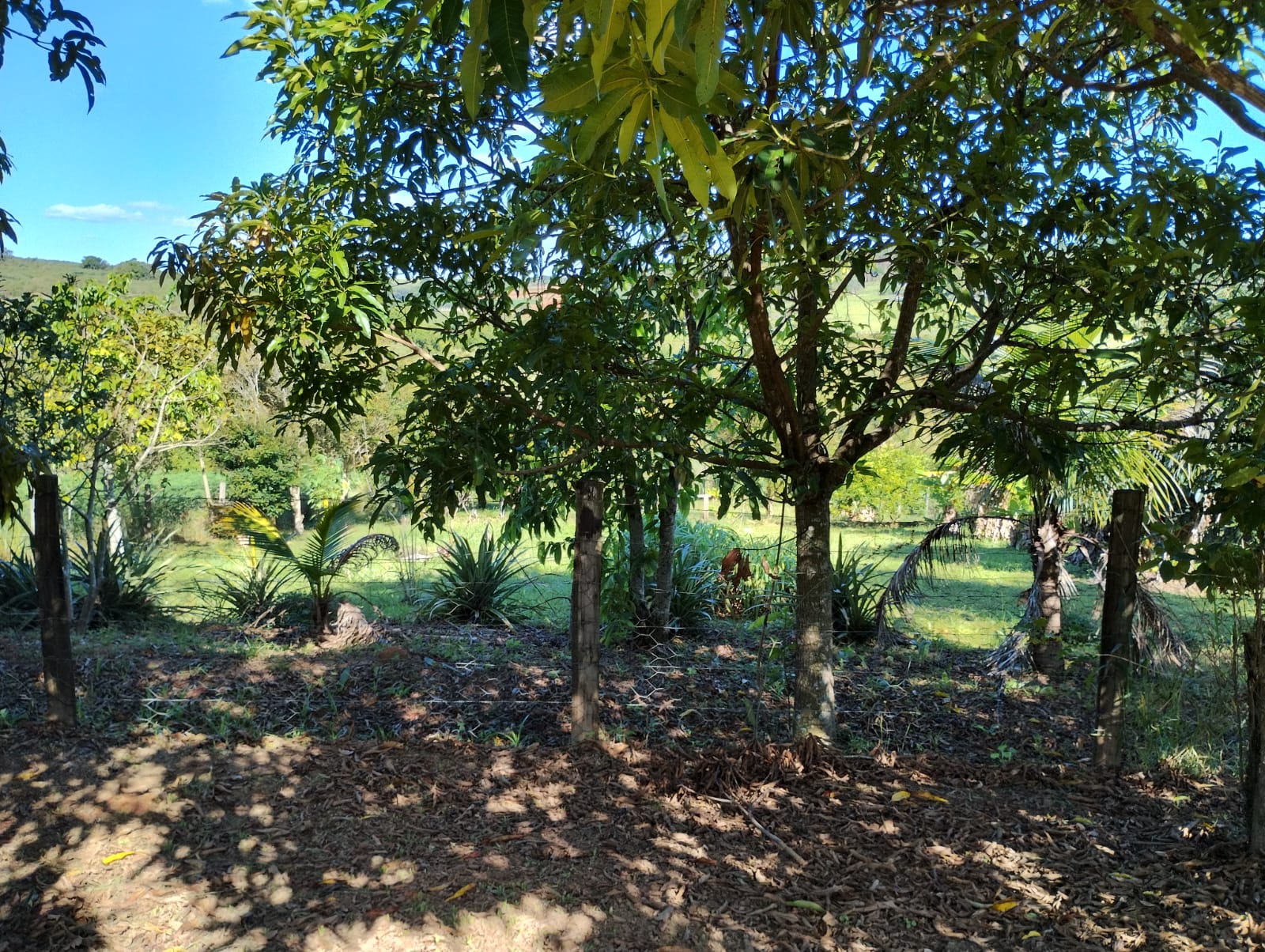 TERRENO EM BAIRRO DO PORTO (CAPELA DO ALTO) - VENDA