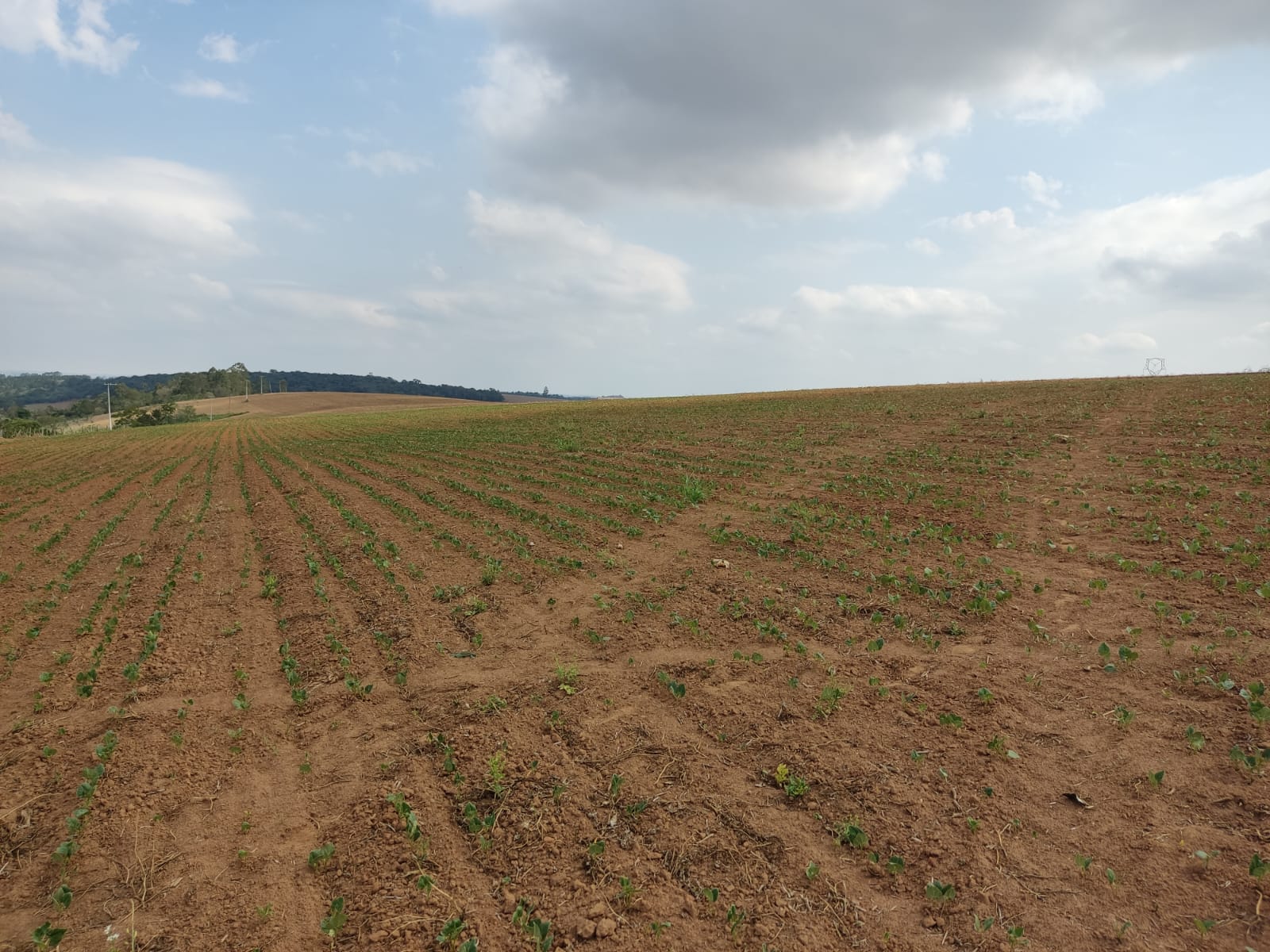 FAZENDA A VENDA NA REGIÃO DE ITAPETININGA