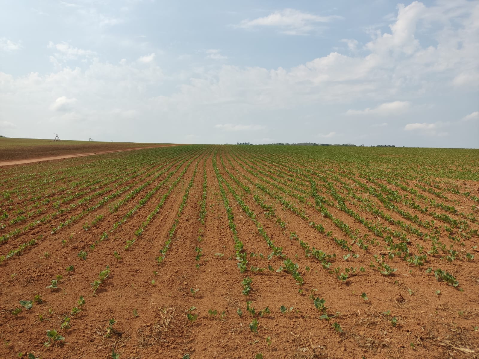 FAZENDA A VENDA NA REGIÃO DE ITAPETININGA