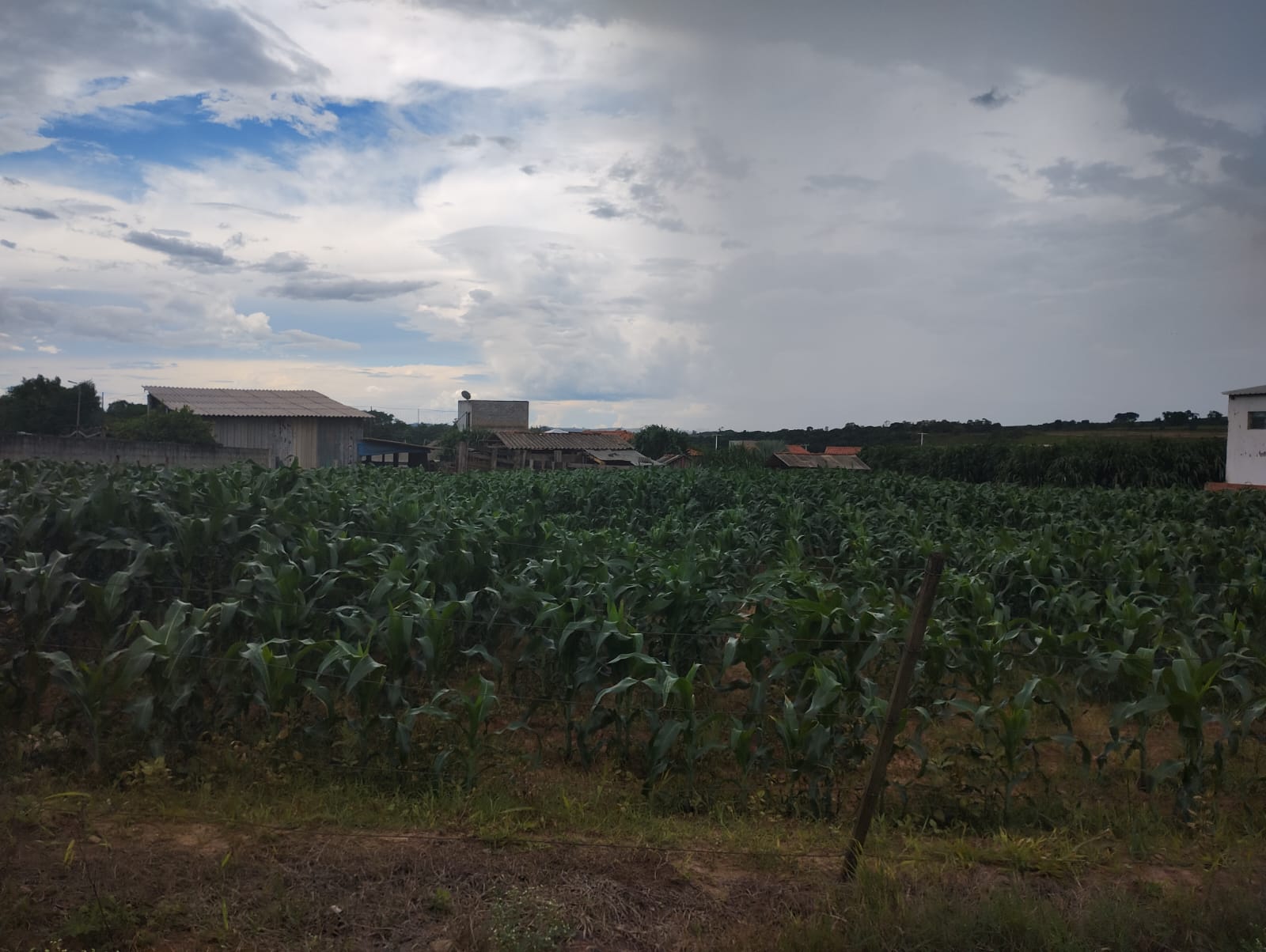 TERRENO EM CAPELA DO ALTO - VENDA