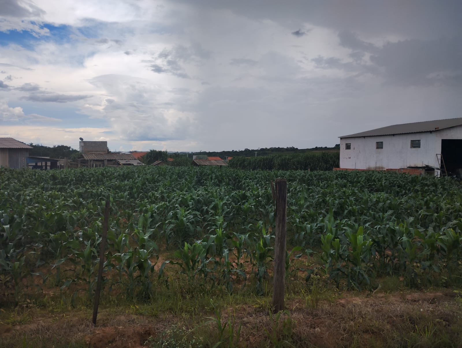 TERRENO EM CAPELA DO ALTO - VENDA