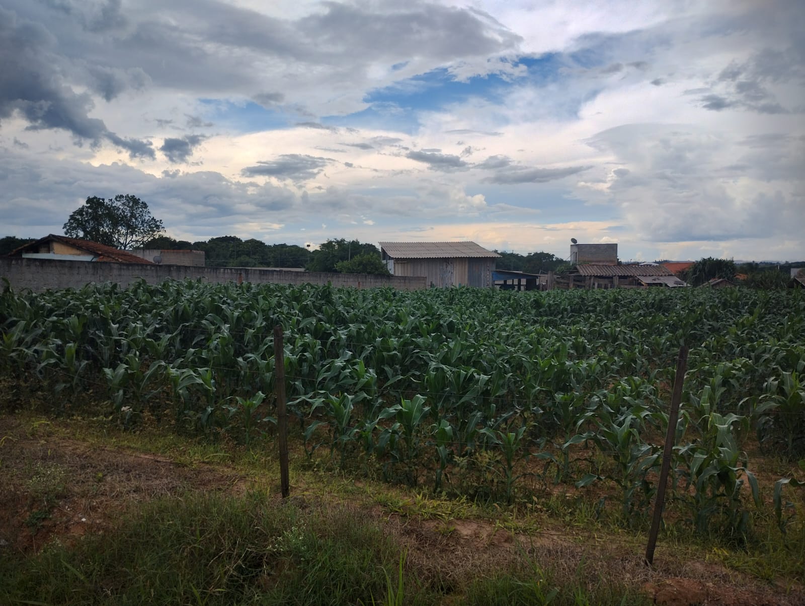 TERRENO EM CAPELA DO ALTO - VENDA