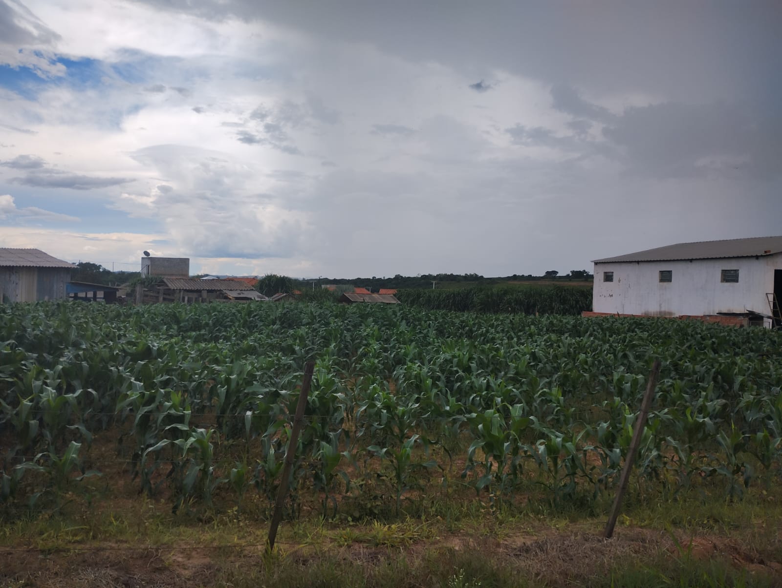 TERRENO EM CAPELA DO ALTO - VENDA