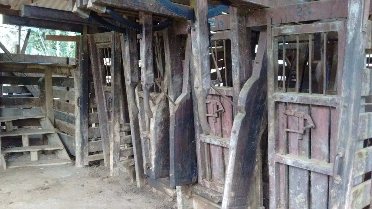 FAZENDA  NA REGIÃO DE ADRIANÓPOLIS PR - VENDA