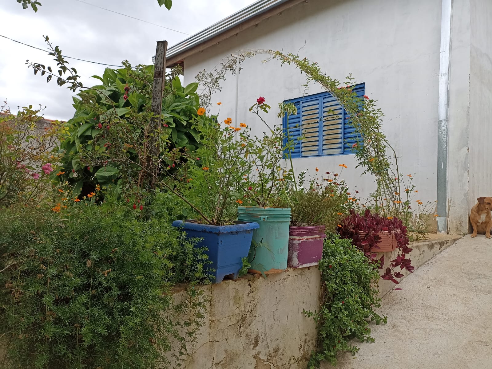 CASA NO IPANEMA DAS PEDRAS - VENDA