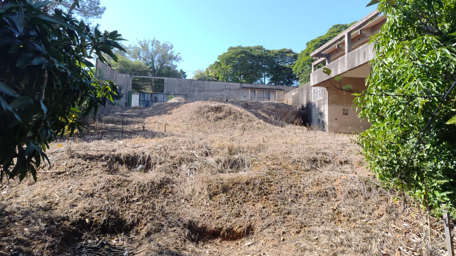 TERRENO NO JARDIM DOS BANDEIRANTES - VENDA