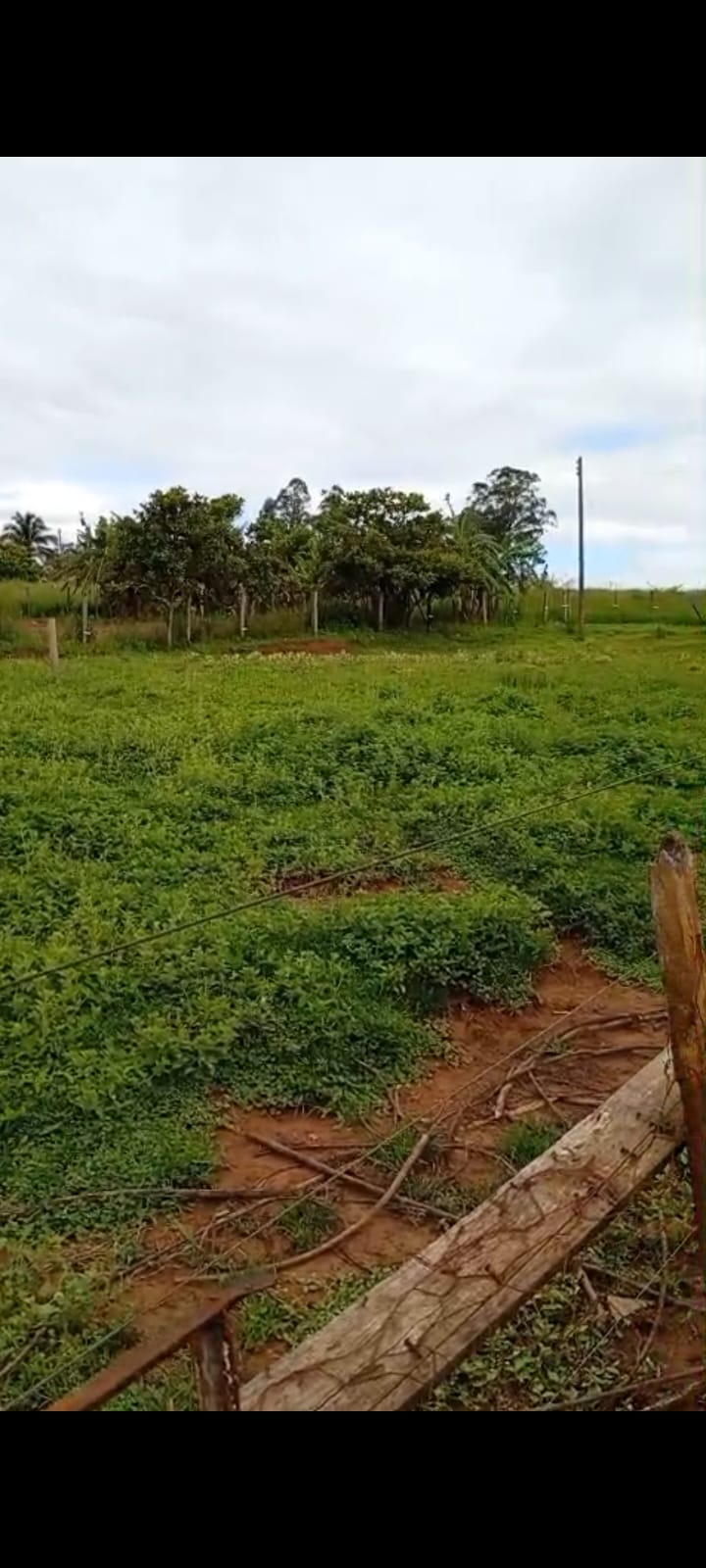 TERRENO NA CIDADE DE TACIBA-SP - VENDA
